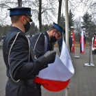 zdjęcie nr 6