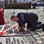 zdjęcie nr 31