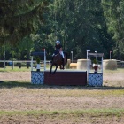zdjęcie nr 55