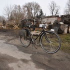 zdjęcie nr 83
