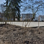 zdjęcie nr 13