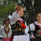 zdjęcie nr 69