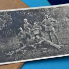 zdjęcie nr 27