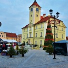 zdjęcie nr 12