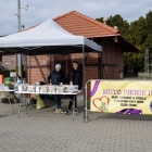 Zbiórka złomu na Moto Piknik (5)
