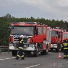 zdjęcie nr 8