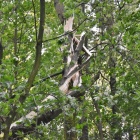 zdjęcie nr 8