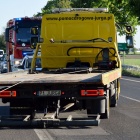 zdjęcie nr 9