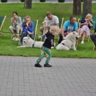 zdjęcie nr 45