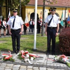 zdjęcie nr 50
