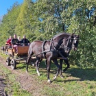 zdjęcie nr 15