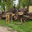 zdjęcie nr 32