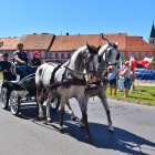 zdjęcie nr 23