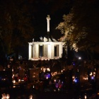 zdjęcie nr 31