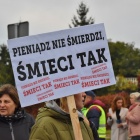 zdjęcie nr 19