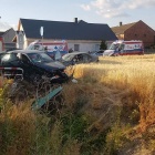 zdjęcie nr 8