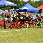 zdjęcie nr 62