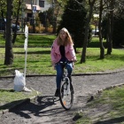 zdjęcie nr 31