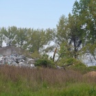 zdjęcie nr 39