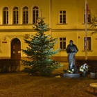 zdjęcie nr 5