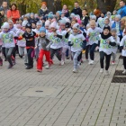 zdjęcie nr 24