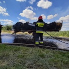 zdjęcie nr 17