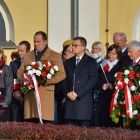 zdjęcie nr 33