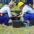 zdjęcie nr 50