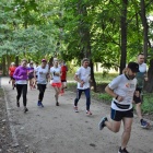 zdjęcie nr 13