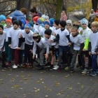 zdjęcie nr 37