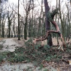 zdjęcie nr 7