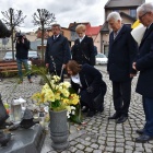 zdjęcie nr 5