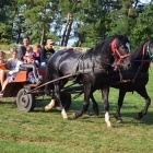 zdjęcie nr 19