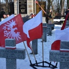 zdjęcie nr 8