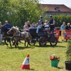 zdjęcie nr 49