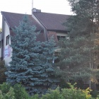 zdjęcie nr 7