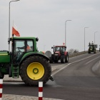 zdjęcie nr 12
