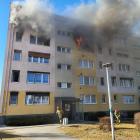 zdjęcie nr 5