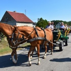 zdjęcie nr 41