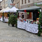 zdjęcie nr 10