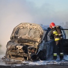 zdjęcie nr 17