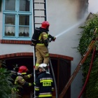 zdjęcie nr 13