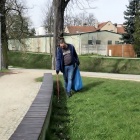 zdjęcie nr 9