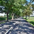 zdjęcie nr 7