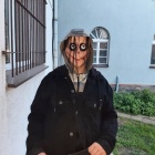 zdjęcie nr 11