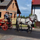 zdjęcie nr 4
