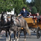 zdjęcie nr 71