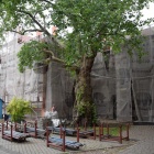 zdjęcie nr 9