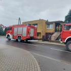 zdjęcie nr 4