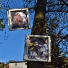 zdjęcie nr 11